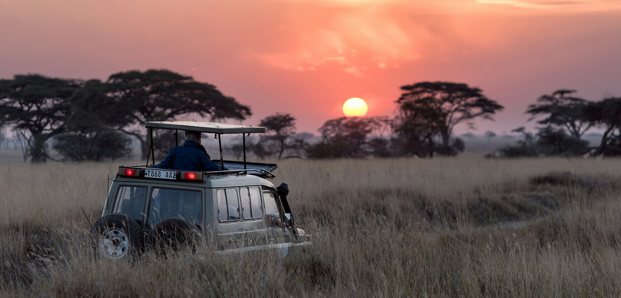 Safari vehicle at sunset